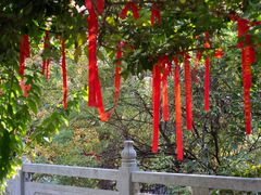 -宝通禅寺