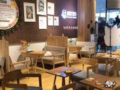 -藏猫猫咖啡主题馆(中央大道店)