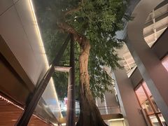 -尼依格罗香港美利酒店