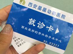 -瑞鹏宠物医院·爱宠堂·骨外专科(西荷分院)