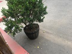 -妈妈的味道(工人体育场东路店)