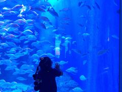 -成都浩海立方海洋公园