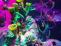 -沈阳海洋探索中心