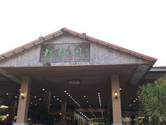 -兴隆槟榔园休闲农庄