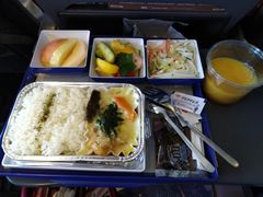 -全日本空输株式会社(上海办事处)