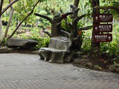 -呀诺达热带雨林