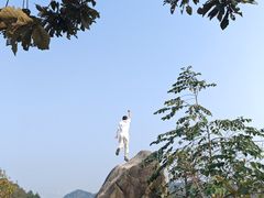 -南山植物园