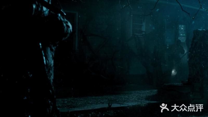 乱花渐欲迷人眼,浅草才能没马蹄的春天啊…