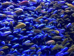 -成都浩海立方海洋公园