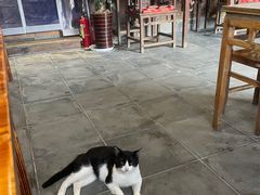 -环秀楼(黄山呈坎店)