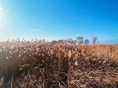 -野鸭湖国家湿地公园