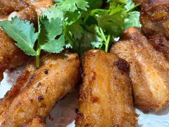 -东鸽皇(奥园·中环广场店)