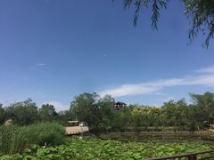 -绿堤公园