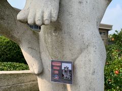 -中加枫华国际学校