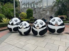 -石排湾郊野公园