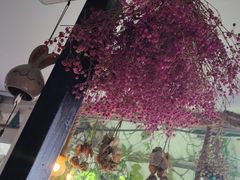 -海边的猫和咖啡馆