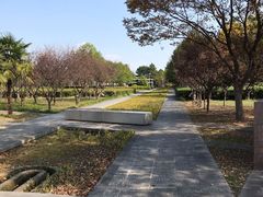 -白塘生态植物园