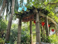 -中国科学院西双版纳热带植物园