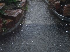 -云和夜泊酒店·中餐厅