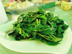 -墨脱石锅椰子鸡•香草鸭•东山羊(大东海店)