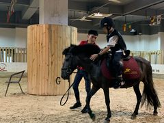 -李振强马术运动推广中心(南城店)