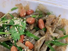 -陈添記·祖傳爽鱼皮·西关老字号(广州首店)