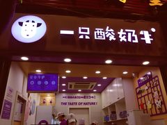 -一只酸奶牛(八一路店)