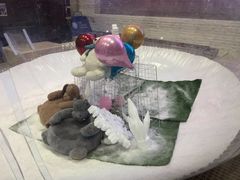 -Mr·Kuma酷么先生雪之乐园