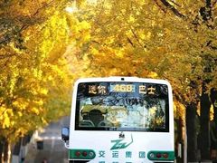 -大学路8号炸串(大学路十四号院店)
