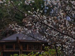 -上海吴淞炮台湾国家湿地公园