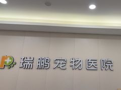 -瑞鹏宠物医院·骨科·猫科·内科(第一中心)