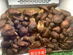 -太婆天府山珍酒楼(亚运村店)