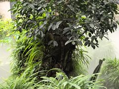 -大妙火锅·非物质文化遗产(东湖公园店)