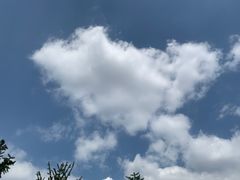 -四川大学(望江校区)