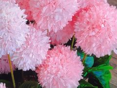 -荷兰花海