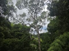 -南昆山川龙瀑布