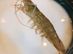 基围虾-盈田盈粥庄(博山东路店)