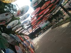 -保定市动物园