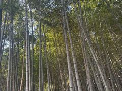 -峙山公园