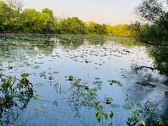 -西溪国家湿地公园