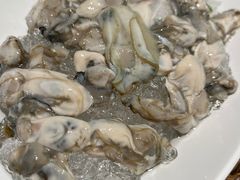 -蓉客成都火锅·招牌麻辣牛杂·特色香辣蹄花(凌水店)