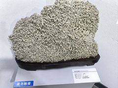-中国第四纪冰川遗迹陈列馆
