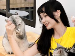 -有喵·猫咖·狗咖·30几只猫10只小狗(岗厦店)