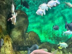-常州海昌海洋探索馆