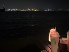 -海鸥岛