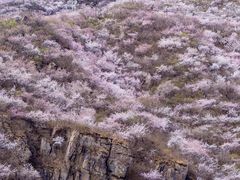 -妙峰山风景名胜区