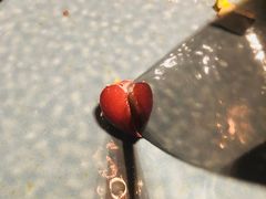 -Moka Bros 摩卡站(西单大悦城店)