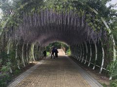 -同里国家湿地公园
