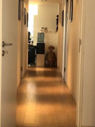 -飛凡TATTOO纹身•原创