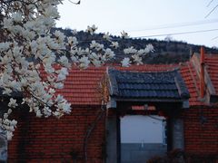 -威海大乳山景区